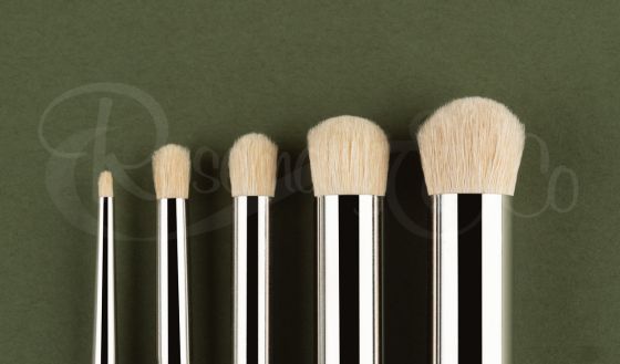 MODEL DRY BRUSH SET